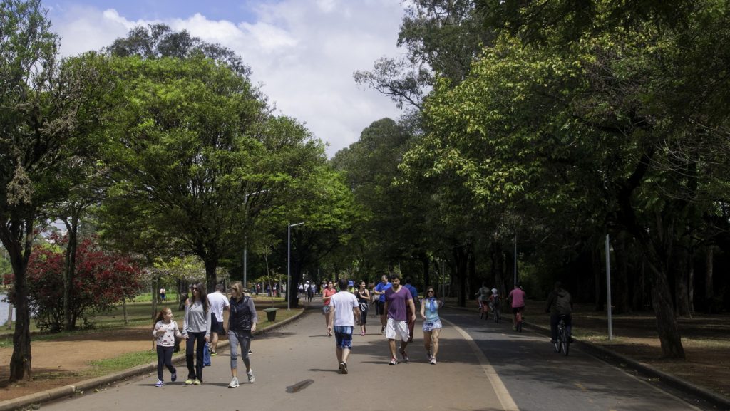 Parque do Ibirapuera - São Paulo