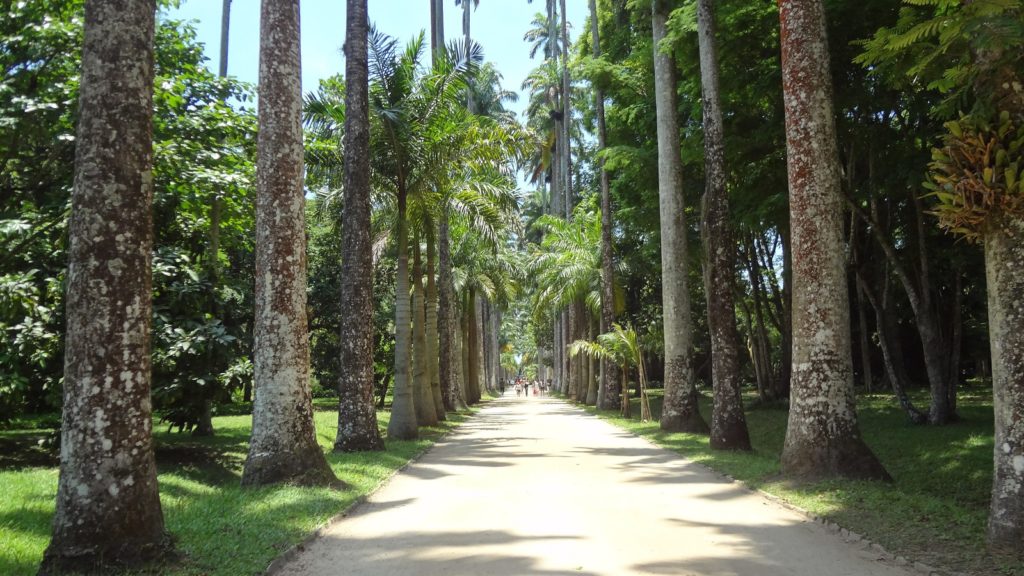 jardim-botanico