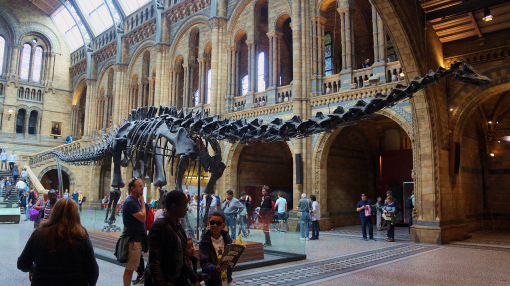 natural-history-london